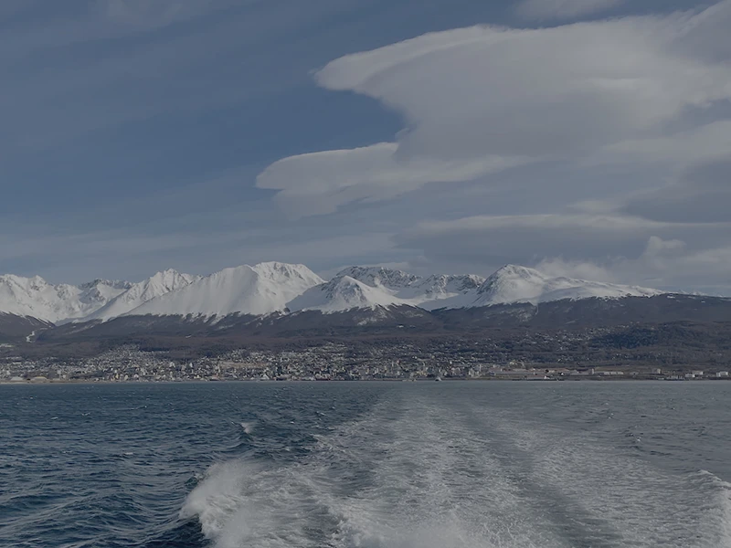 Ilha dos Leões-Marinhos de Ushuaia - leões-marinhos em seu habitat natural no Canal de Beagle