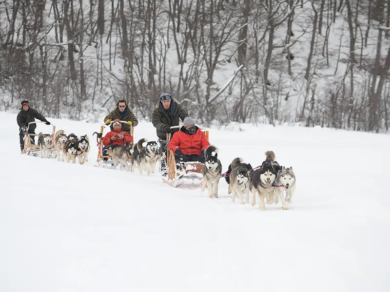 Snowmobiles Ushuaia