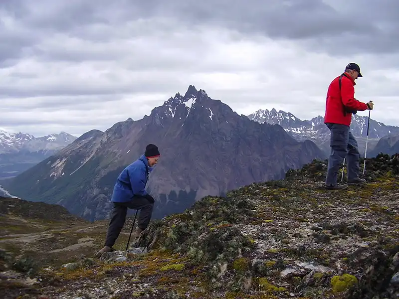 Andorra Valley Ushuaia trekking - trail through lenga trees towards Cerro Pelado
