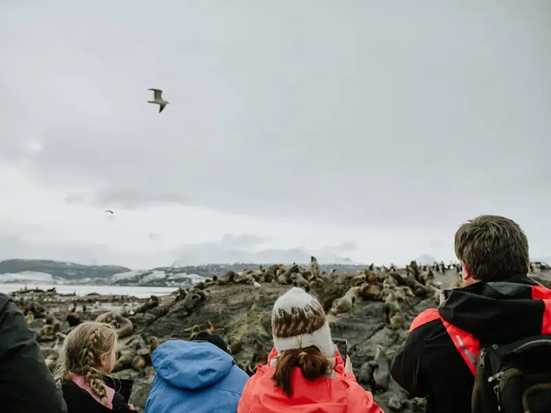 Les Eclaireurs Lighthouse Beagle Channel Ushuaia