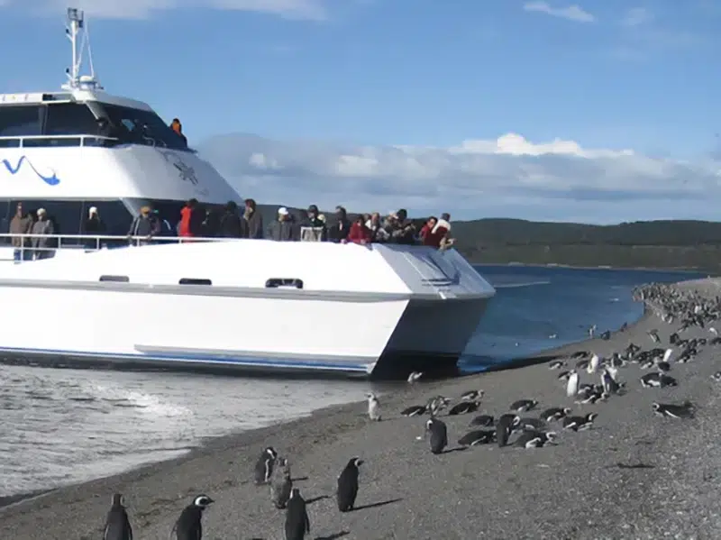 Beagle Channel Navigation Ushuaia - catamaran among Patagonian islands